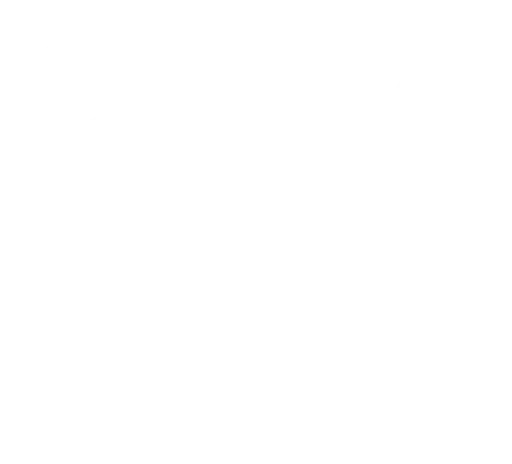 Traceformer Logo